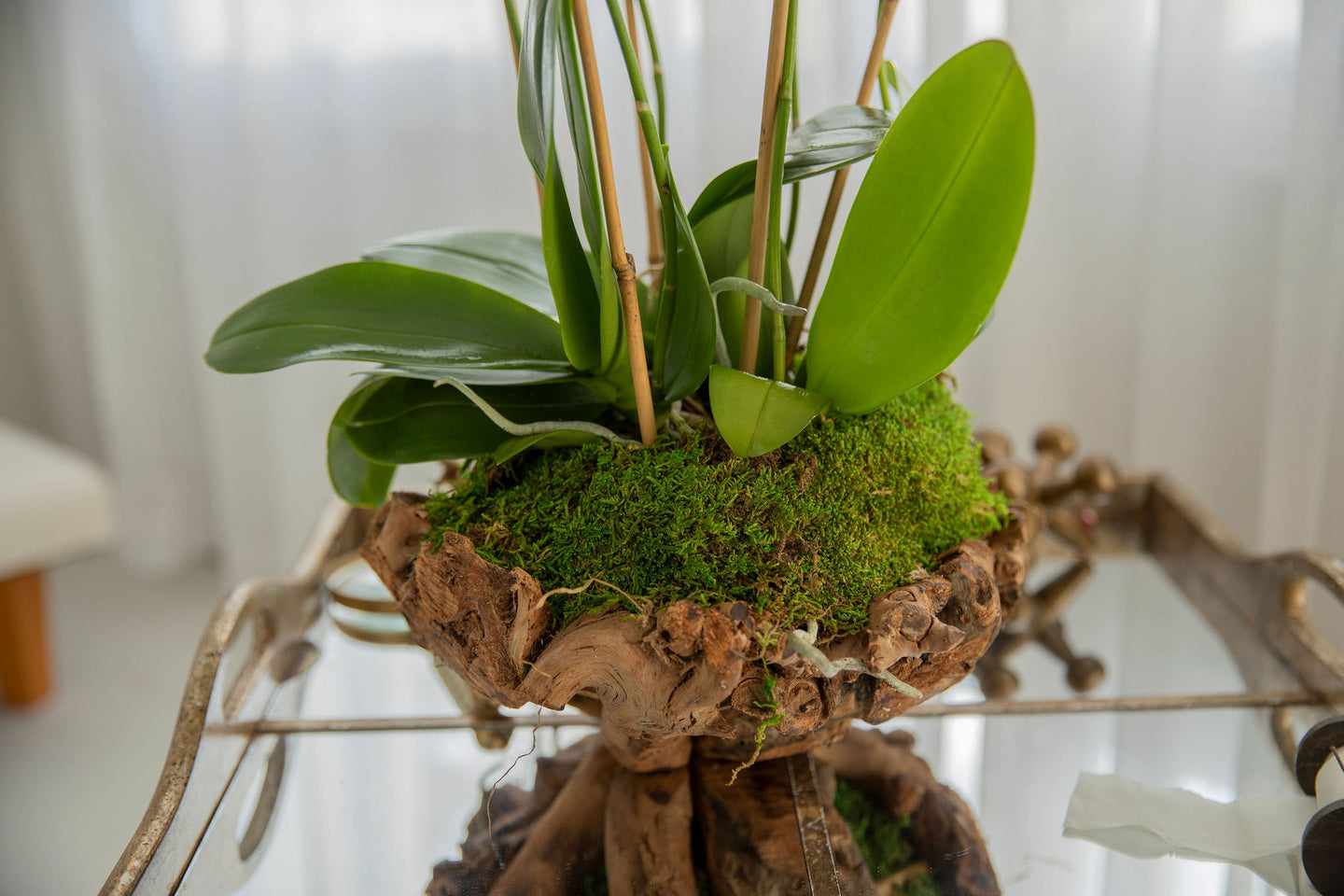 Mini Unique wood Vase